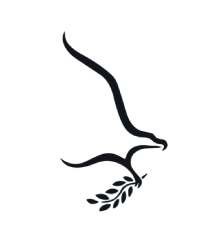 Logo of Nido